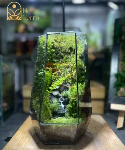 Terrarium Lộc Linh Sơn kích thước 14x22cm với mô hình chú hươu giữa rừng rêu
