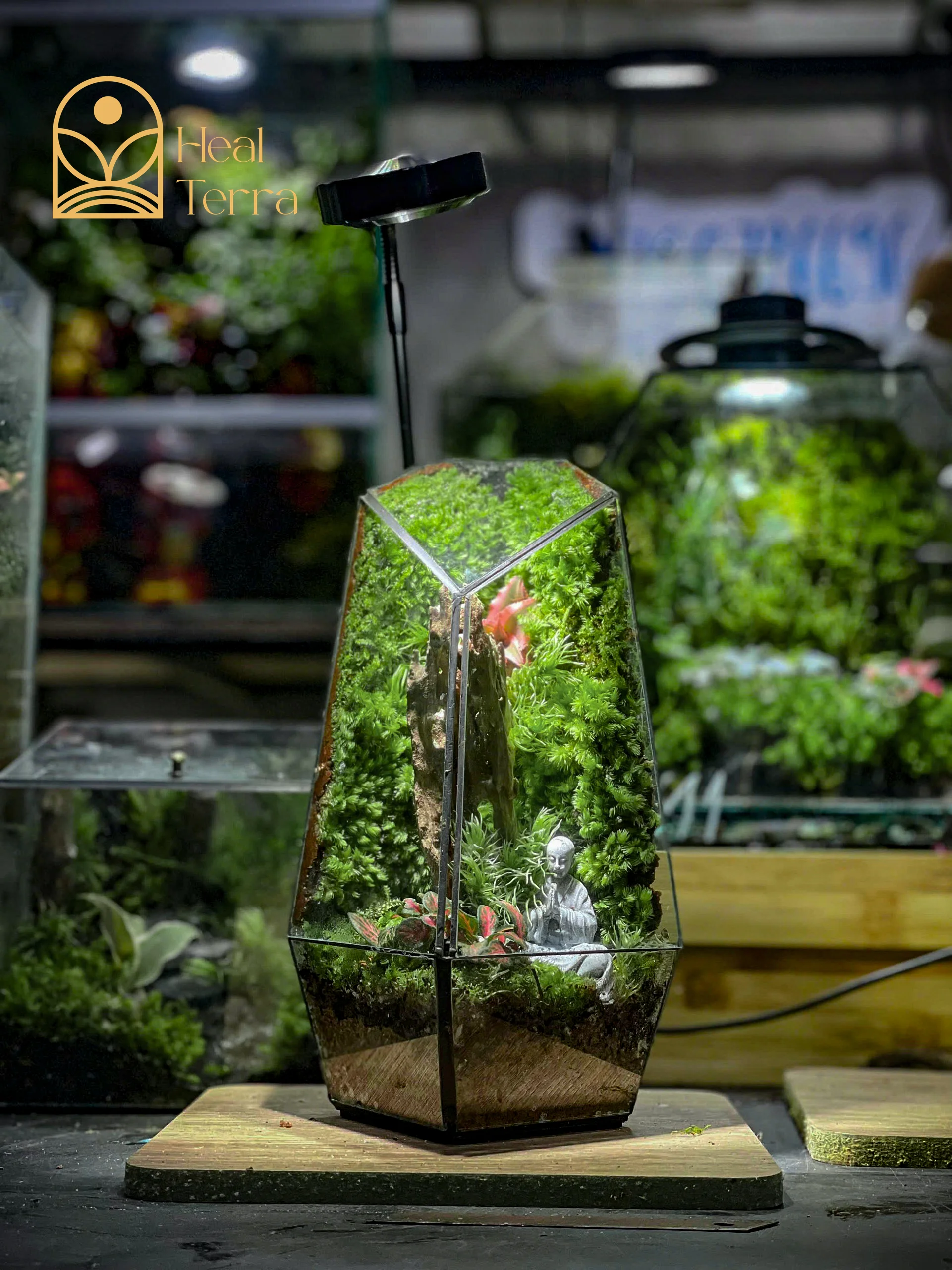 Bể Zen Forest Terrarium thiết kế kính đa diện với mô hình người ngồi thiền giữa rừng rêu