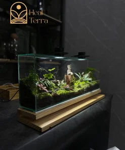 Terrarium dáng rộng trang trí sảnh văn phòng và phòng khách sang trọng
