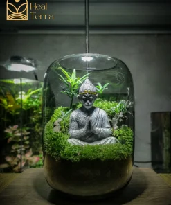 terrarium-Wukongs-Zen