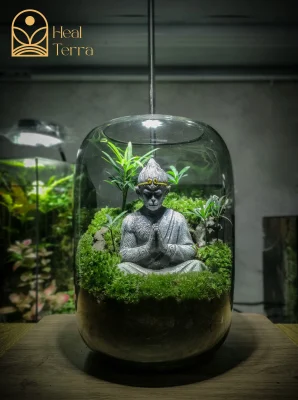 terrarium-wukongs-zen