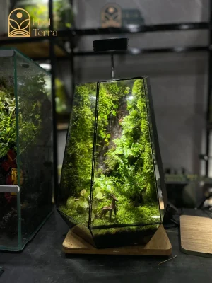 terrarium-vach-da-khe-duong