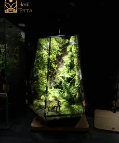 terrarium-vach-da-khe-duong