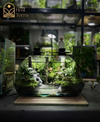toan-canh-be-terrarium-panorama-suoi-khe-duong-voi-thac-nuoc-chay-va-khoi-mo-ao-dieu