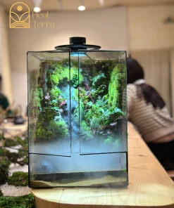 tuyet-tac-terrarium-the-misty-forest-voi-hieu-ung-khoi-suong-va-thac-nuoc-chay-roc-rach-heal-terra
