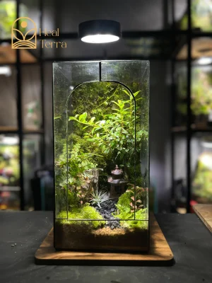 terrarium-tinh-lam-duoi-anh-trang