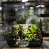 kiet-tac-terrarium-ban-can-son-ha-van-dam-voi-vach-da-xep-tang-va-dong-suoi-tuan-hoan-heal-terra