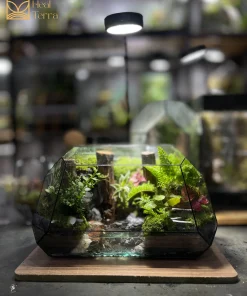 kiet-tac-terrarium-ban-can-son-ha-van-dam-voi-vach-da-xep-tang-va-dong-suoi-tuan-hoan-heal-terra