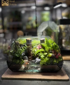 kiet-tac-terrarium-ban-can-son-ha-van-dam-voi-vach-da-xep-tang-va-dong-suoi-tuan-hoan-heal-terra