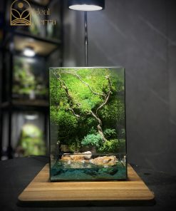 ho-van-my-terrarium-reu-bao-ton-suoi-resin-heal-terra