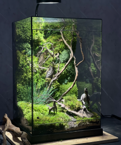 terrarium-ky-nguyen-khung-long-vach-da-60cm-heal-terra