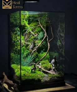 terrarium-ky-nguyen-khung-long-vach-da-60cm-heal-terra