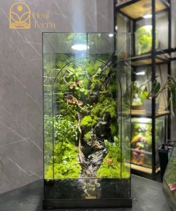 Toàn cảnh bể terrarium Sơn Khê Ẩn Lưu cao 60cm kèm đèn mosslight