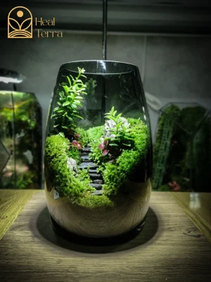 binh-terrarium-stairs-voi-loi-di-bac-thang-da-den-giua-rung-reu-xanh-muot-heal-terra