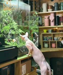 Sơn Khê Ẩn Lưu đặt trong không gian phòng khách hiện đại sang trọng