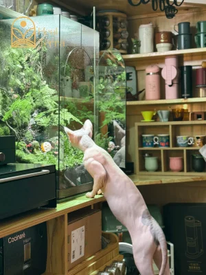 Sơn Khê Ẩn Lưu đặt trong không gian phòng khách hiện đại sang trọng