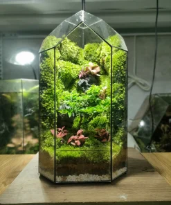bo-cuc-vach-da-3d-phu-reu-nhung-va-cay-bonsai-mini-trong-moss-heaven