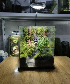 tuyet-tac-terrarium-the-misty-forest-voi-hieu-ung-khoi-suong-va-thac-nuoc-chay-roc-rach-heal-terra