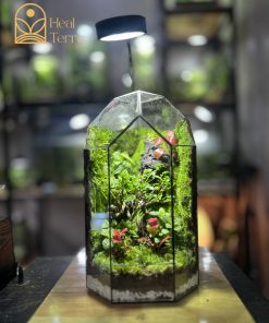 bo-cuc-vach-da-3d-phu-reu-nhung-va-cay-bonsai-mini-trong-moss-heaven