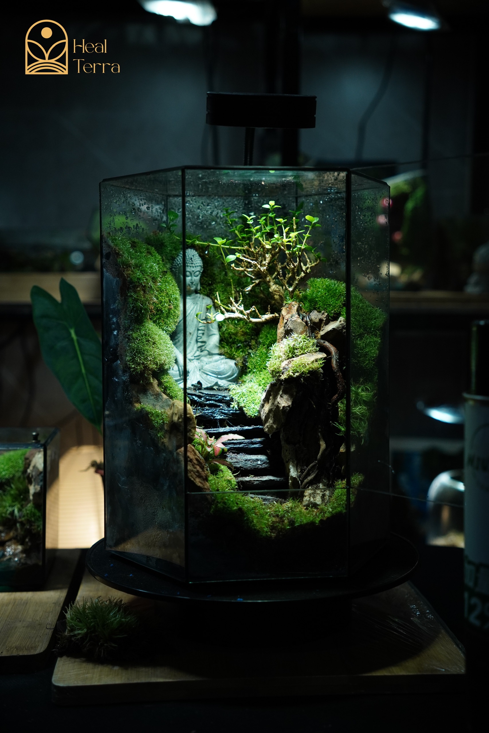 moc-thien-vien