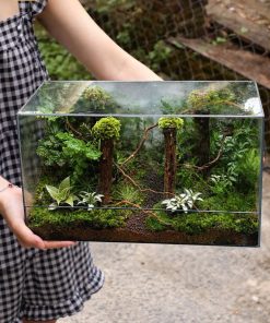 terrarium-jungle-vines