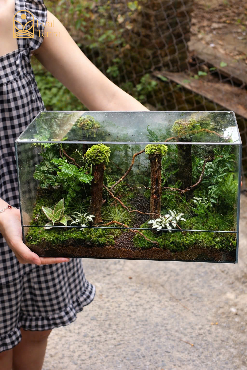 terrarium-jungle-vines