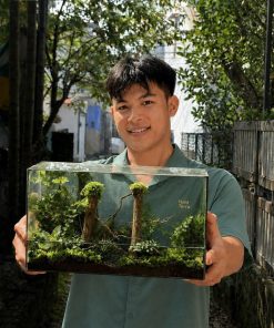 terrarium-jungle-vines