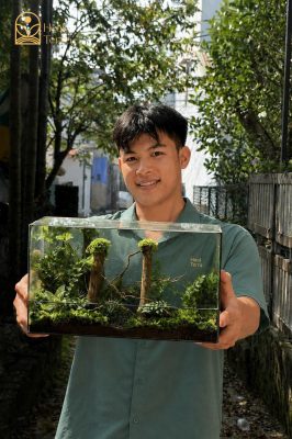 terrarium-jungle-vines