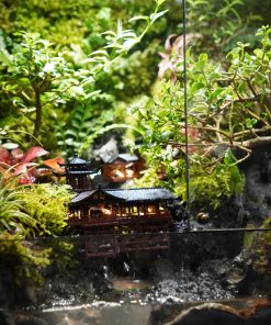 terrarium-co-tran-duoi-mưa